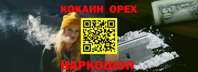 стаф Кунгур