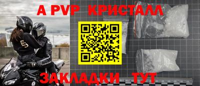 стаф Кунгур