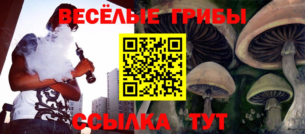Псилоцибиновые грибы мицелий Гусиноозёрск